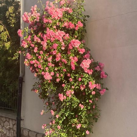 蒙彼利埃4星级旅馆住宿加早餐旅馆 外观 照片
